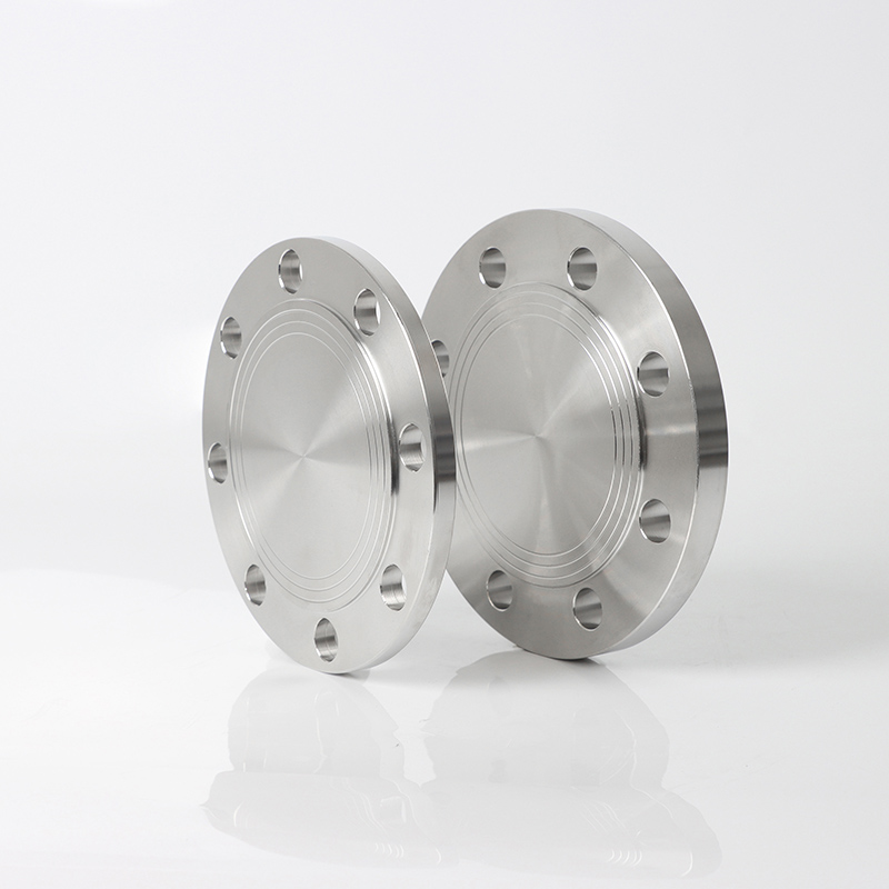 ANSI B16.5 400 lb Bride en acier inoxydable Plaque aveugle Plaque de blocage de bride forge