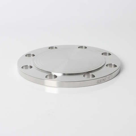ANSI B16.5 400 lb Bride en acier inoxydable Plaque aveugle Plaque de blocage de bride forge