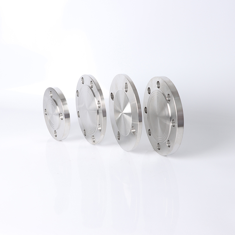 EN 1092-1 05B DN32 PN25 Bouche aveugle pour les tests
