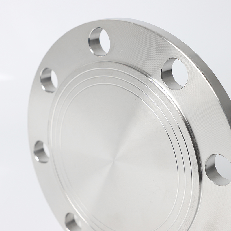 ANSI B16.5 400 lb Bride en acier inoxydable Plaque aveugle Plaque de blocage de bride forge