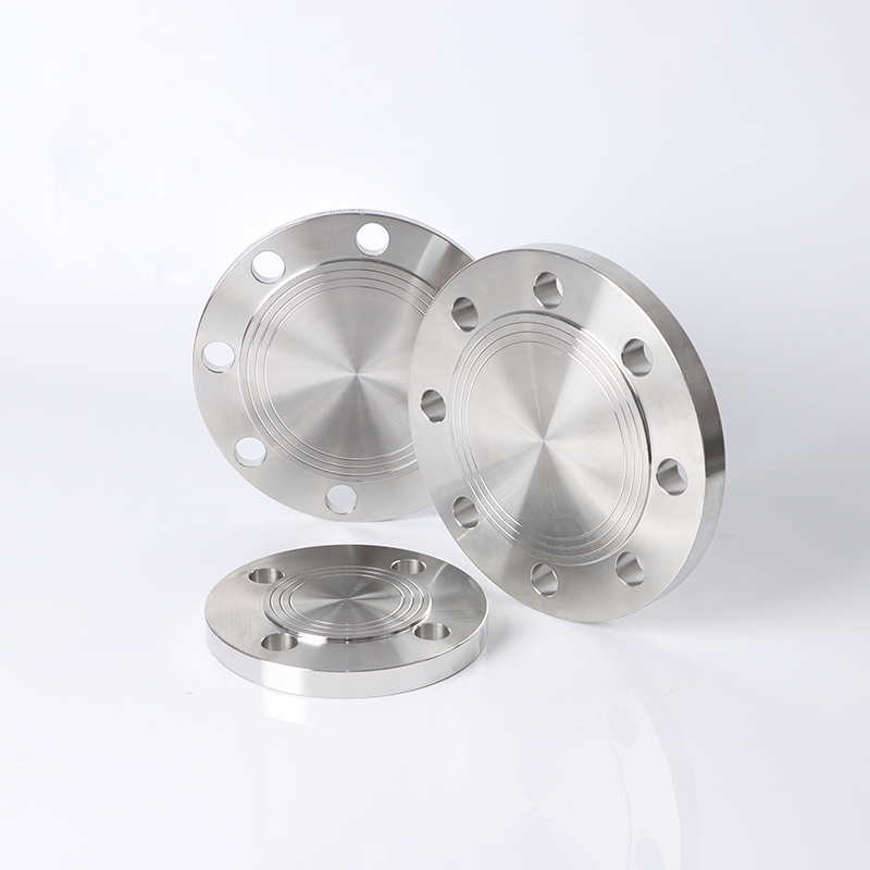 EN 1092-1 05B DN20 PN25 SS